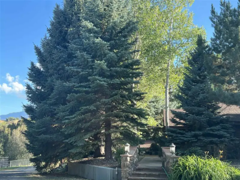 366 Lower Southfork Rd Cody #45