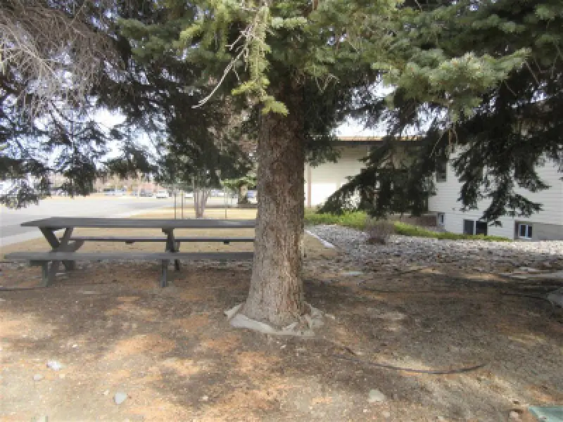 1402 Stampede Ave Cody #11