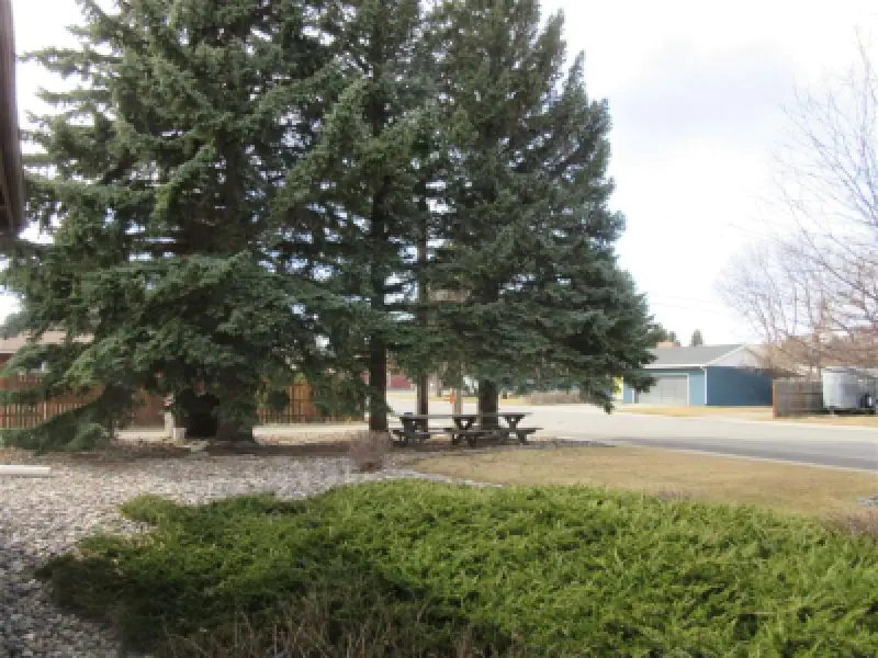 1402 Stampede Ave Cody #49