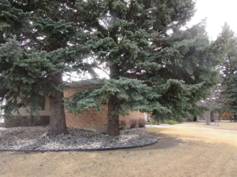 1402 Stampede Ave Cody #8