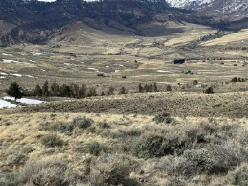 Lot 105 Laurel Dr Wapiti #1