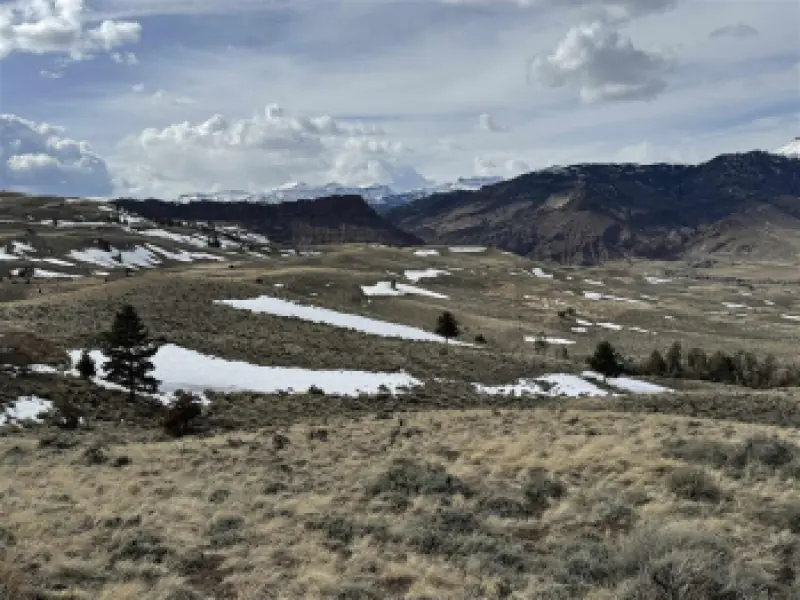 Lot 105 Laurel Dr Wapiti #4