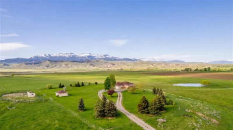 272 Road 6RT Cody #64