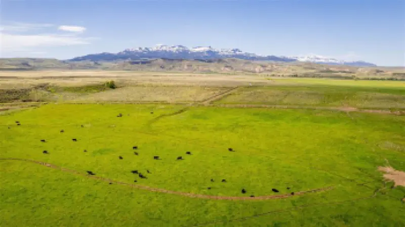 272 Road 6RT Cody #79