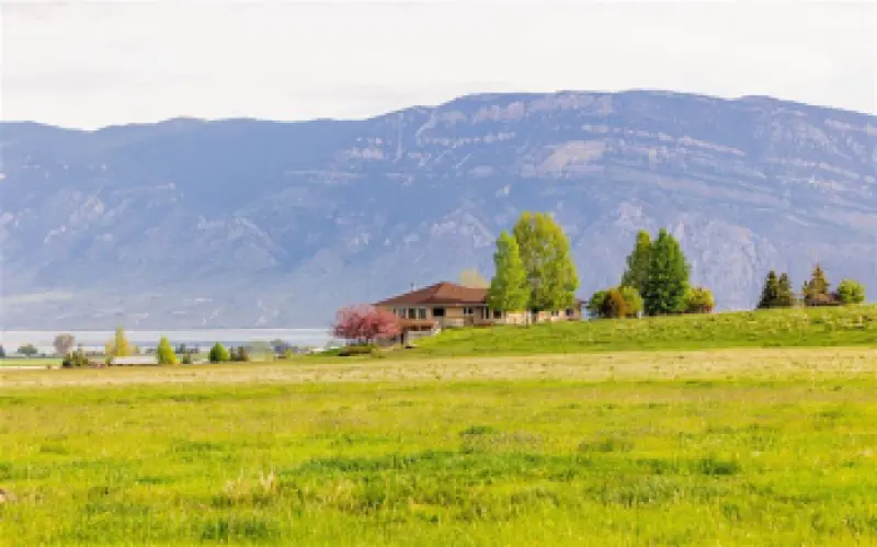272 Road 6RT Cody #82