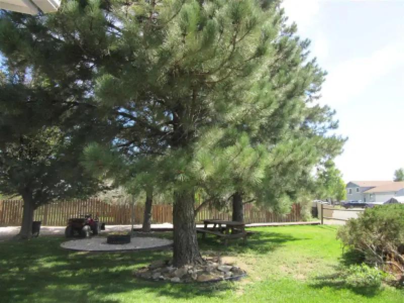 2607 Holler Ave Cody #38