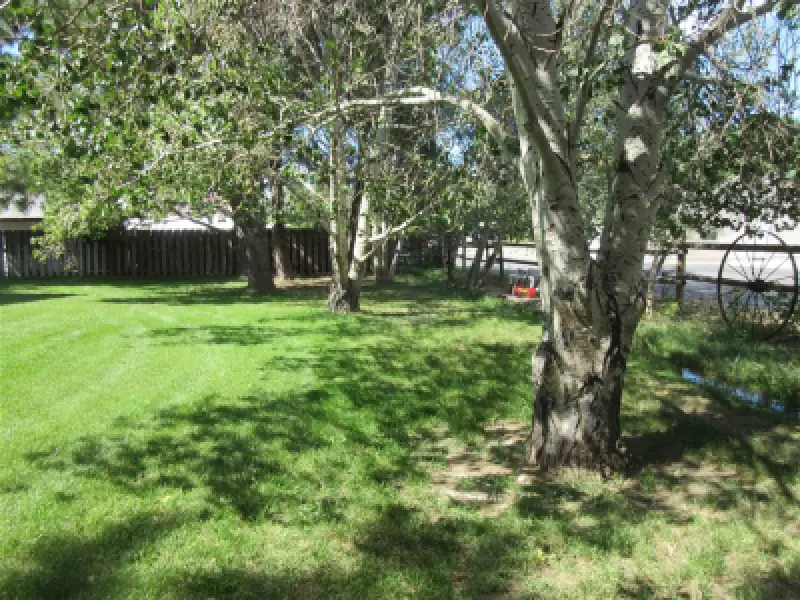 2607 Holler Ave Cody #40