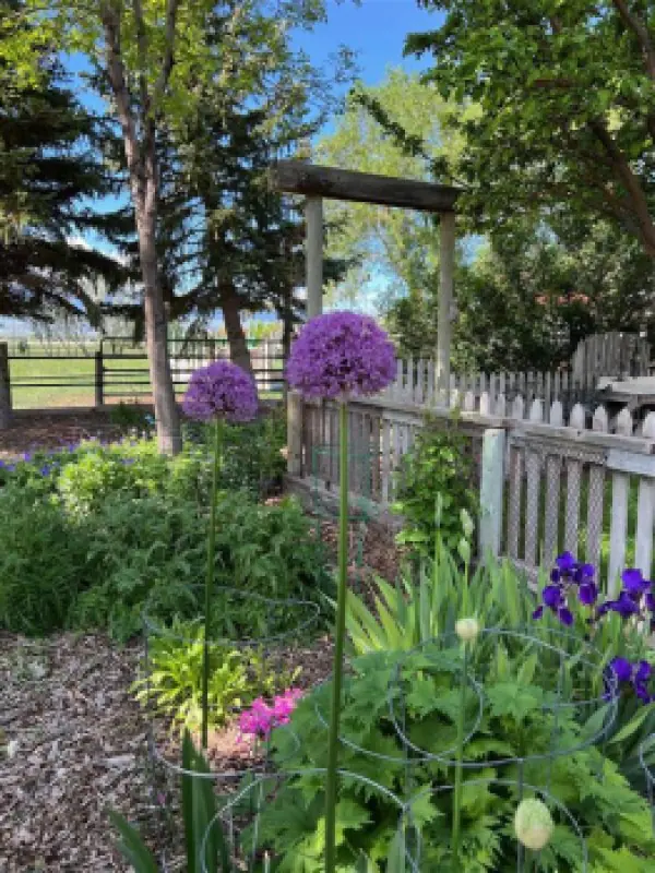 8 Mountain View Dr Cody #63