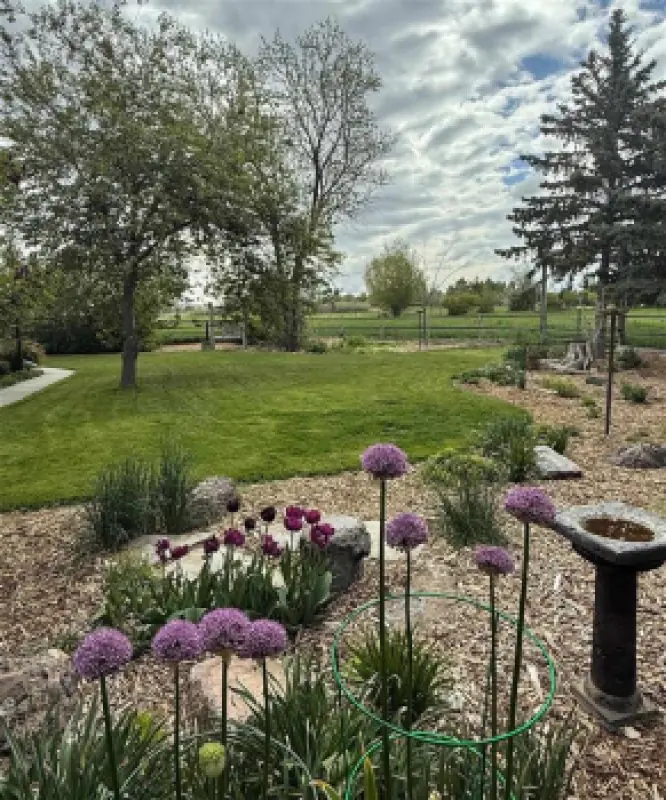 8 Mountain View Dr Cody #64