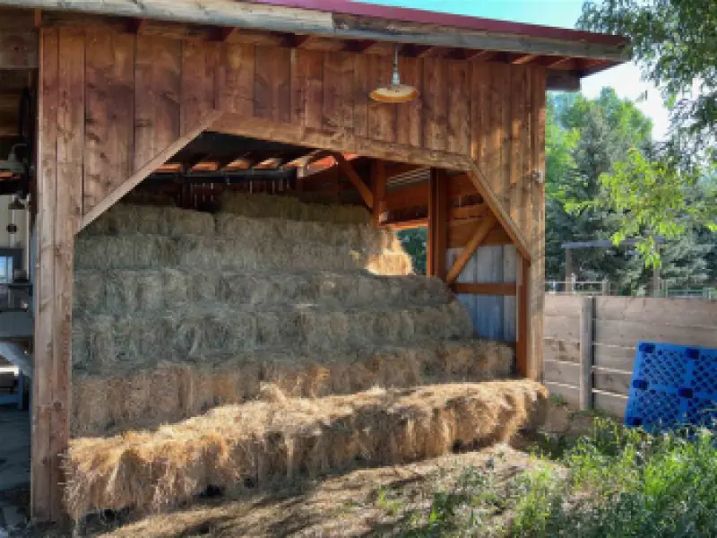 8 Mountain View Dr Cody #68