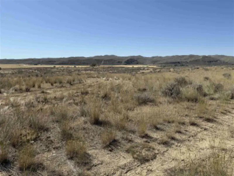 2386 Hwy 20 S Worland #2