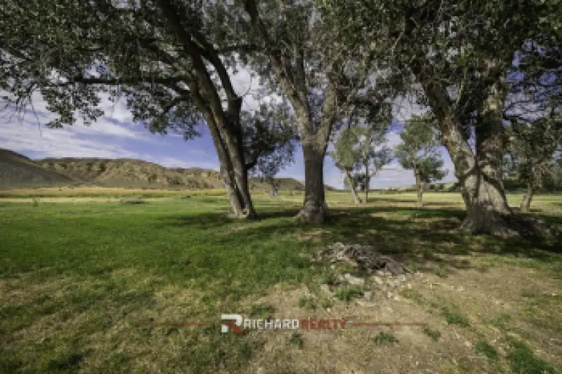 2480 Hwy 20 Greybull #41