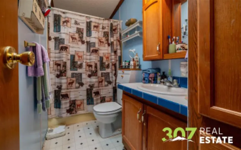 948 Saddle Ct Powell #13