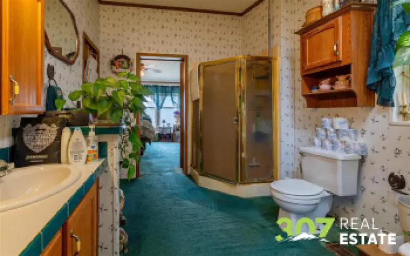 948 Saddle Ct Powell #17