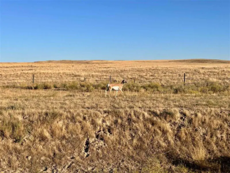TBD Hwy 32 Byron #22