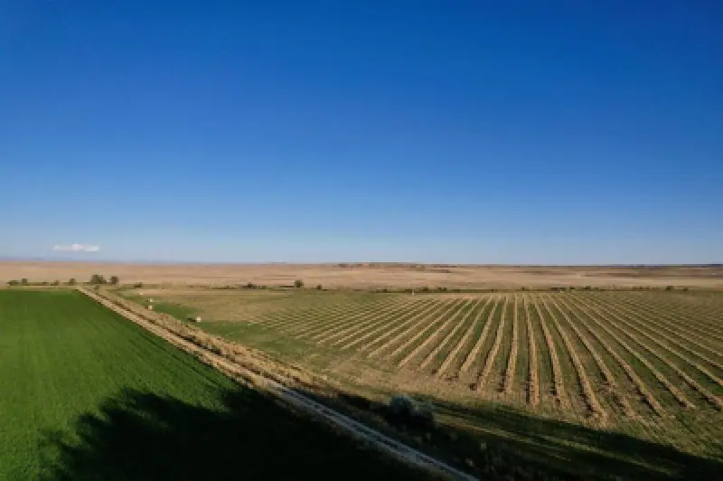 TBD Hwy 32 Byron #26