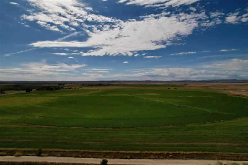 TBD Hwy 32 Byron #8