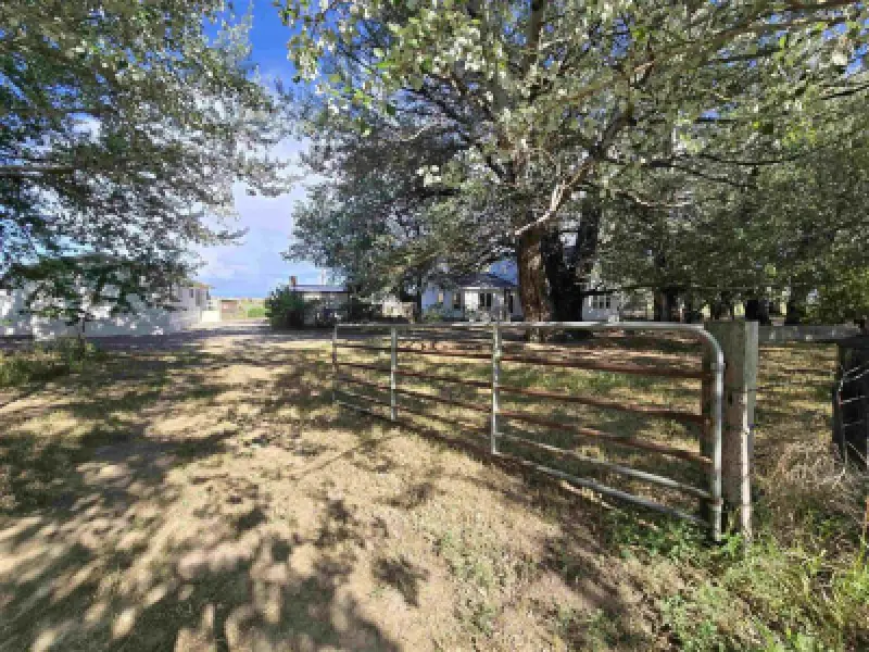 531 Lane 1/2 Powell #80