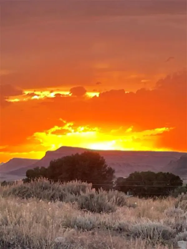 850 Hwy 14 E Greybull #81