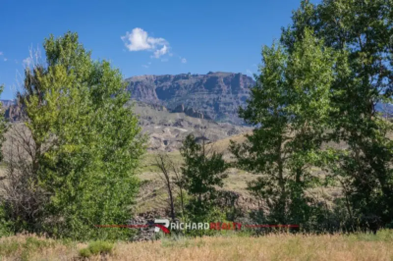 65 Trinity Pass Cody #30