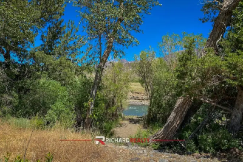 65 Trinity Pass Cody #5