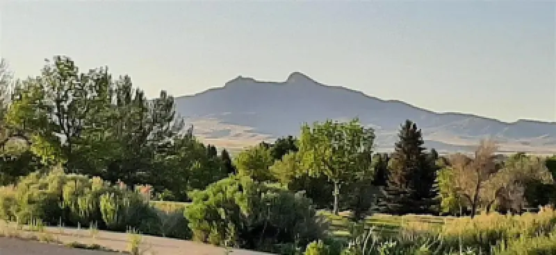 714 & 720 Olive Glenn Dr Cody #1