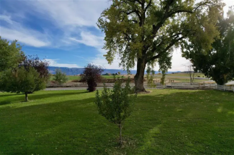 969 Hwy 14 Greybull #4