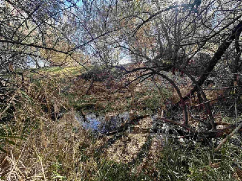 4127 Golf Course Rd Basin #37