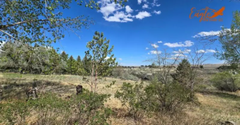 1798 Dutcher Springs Tr Powell #34