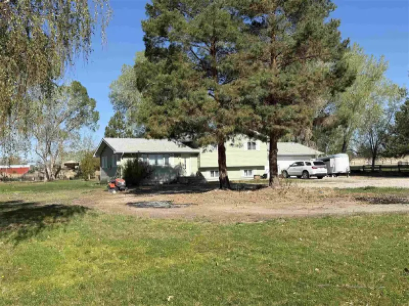 1136 Olive Rd Powell #1