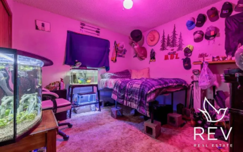 1136 Olive Rd Powell #16