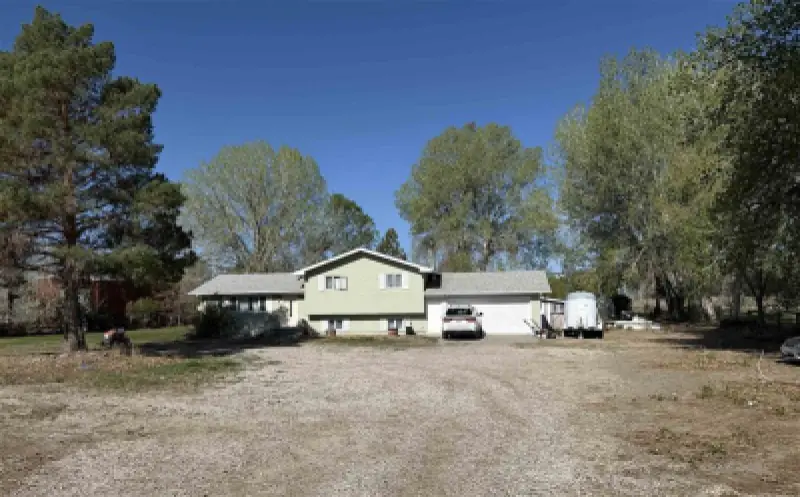 1136 Olive Rd Powell #2