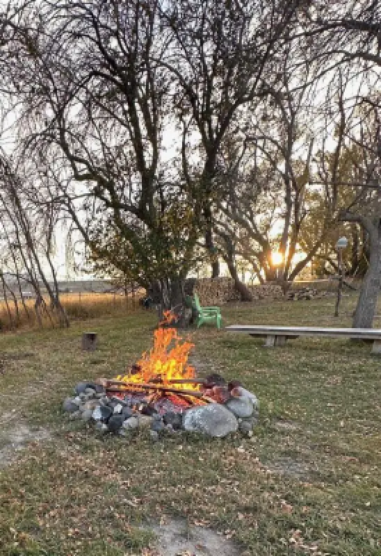 407 Diamond Basin Rd Cody #40