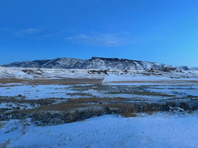 407 Diamond Basin Rd Cody #41