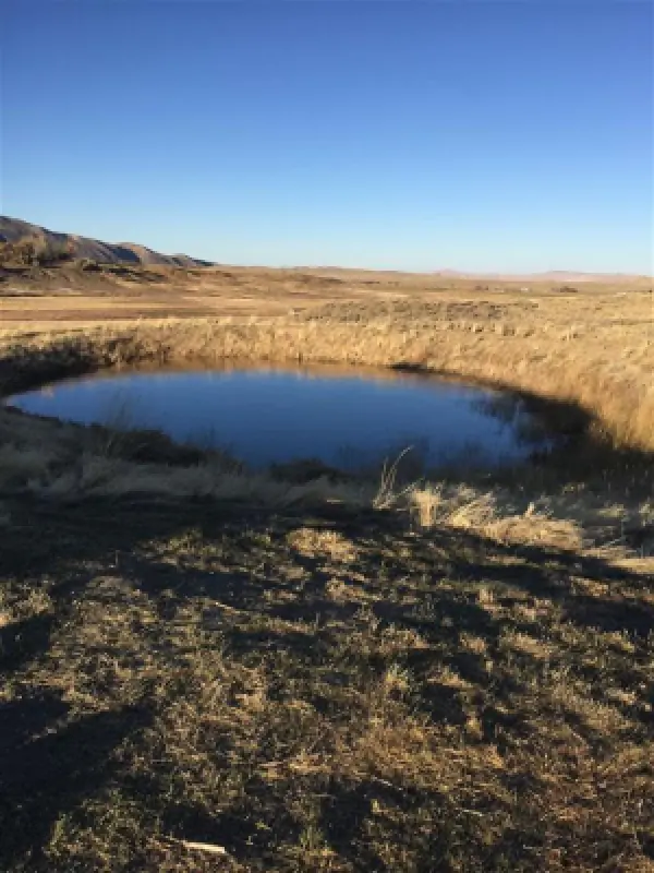 407 Diamond Basin Rd Cody #45
