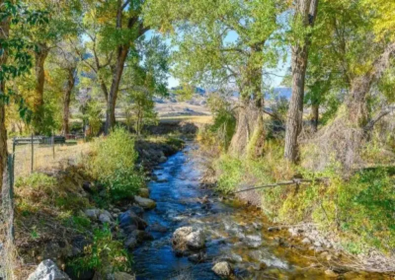 1 Streamside Dr Cody #2