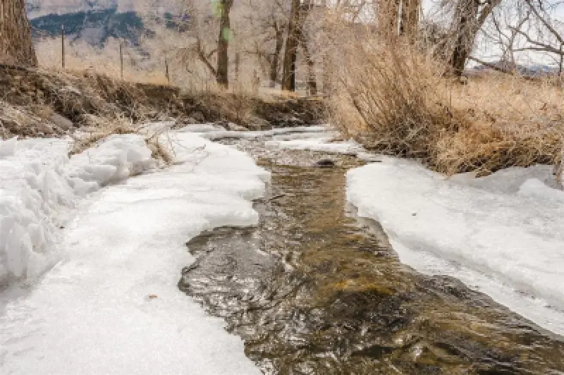 1 Streamside Dr Cody #63