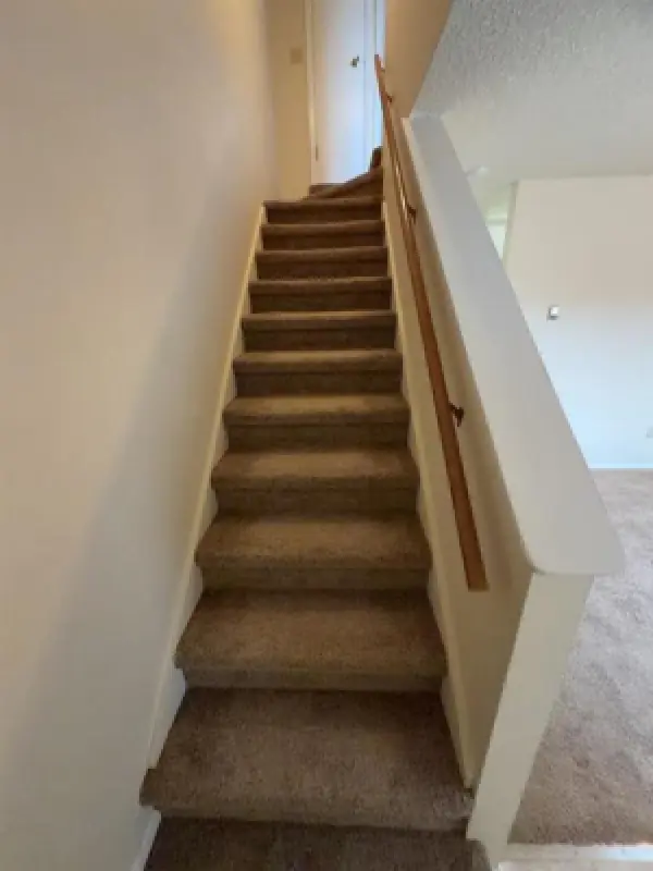 1825 Mountain View Dr Cody #24