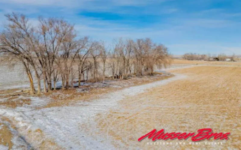 642 Road 6 Powell #17