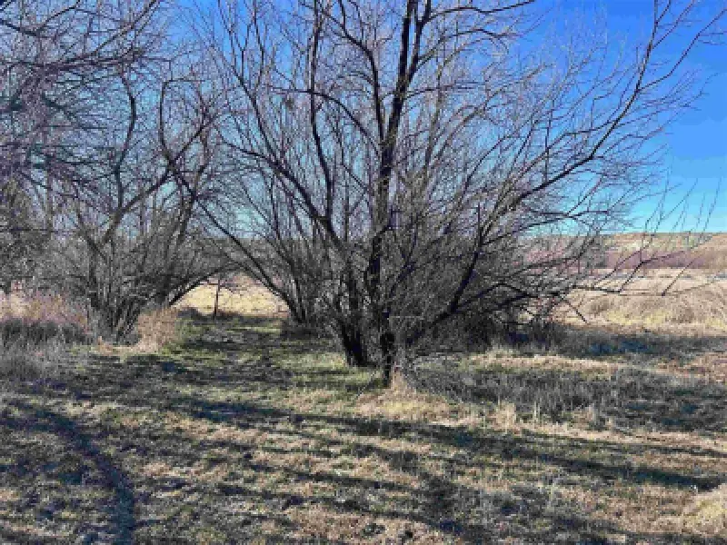TBD Road 11 1/2 Lovell #8