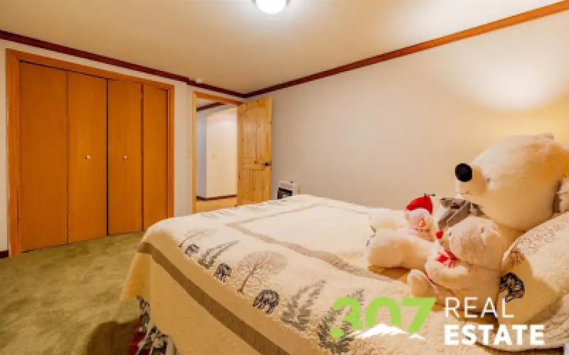 35 Appaloosa Ln Cody #22