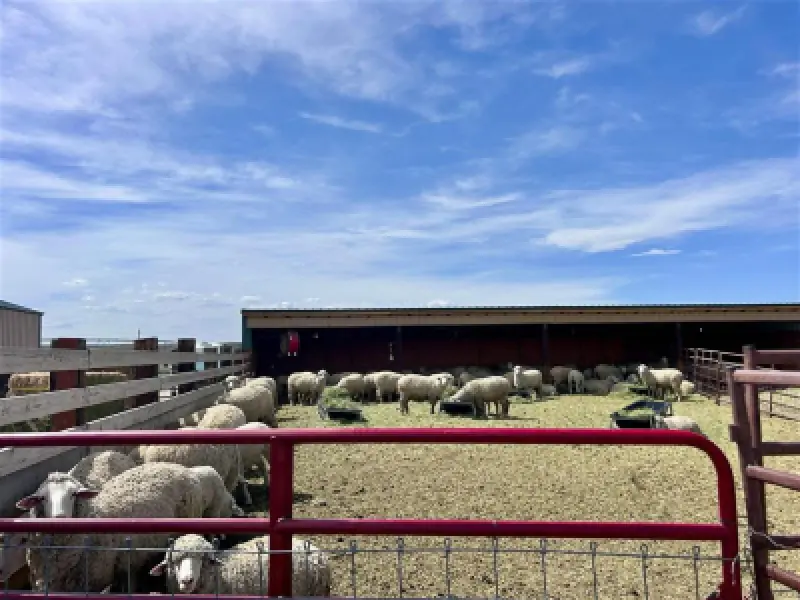 3141 Road 26 1/2 Greybull #106