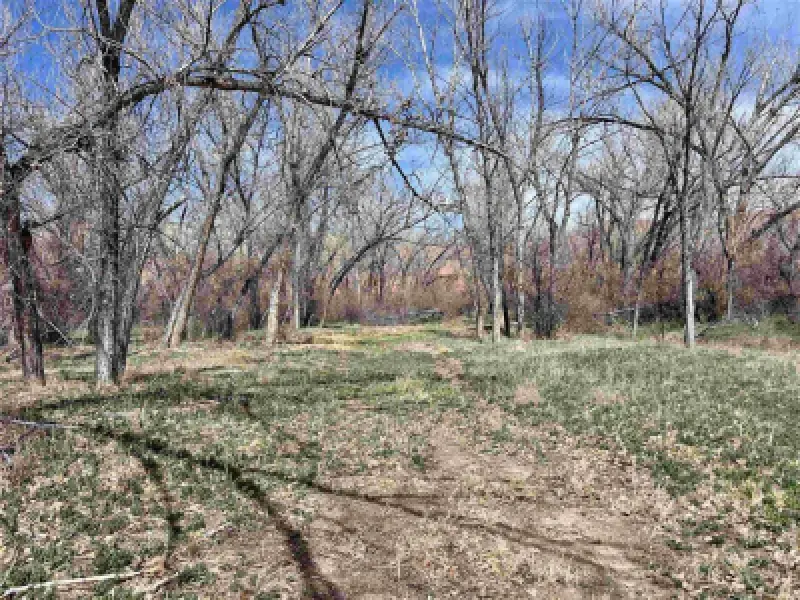 3141 Road 26 1/2 Greybull #111