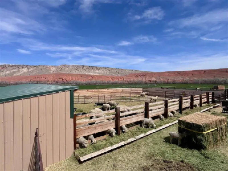 3141 Road 26 1/2 Greybull #73