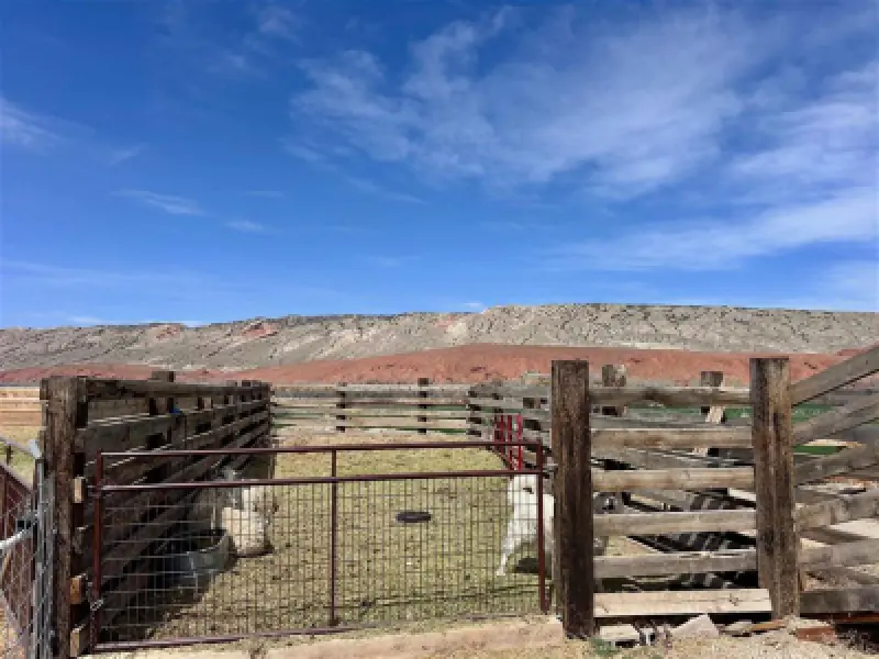3141 Road 26 1/2 Greybull #74