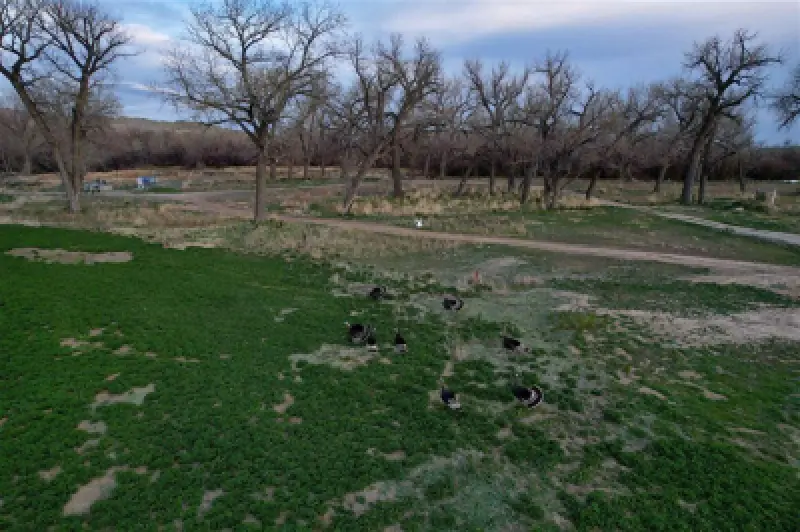 3141 Road 26 1/2 Greybull #89