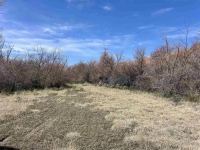 3141 Road 26 1/2 Greybull #91