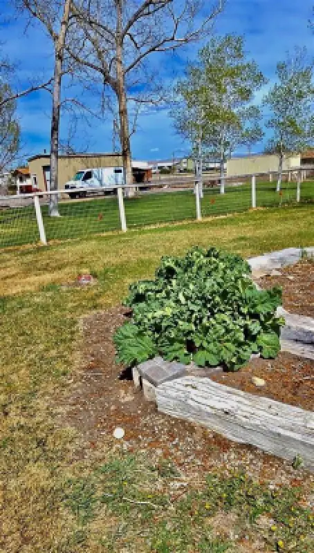 111 Country Drive Worland #46