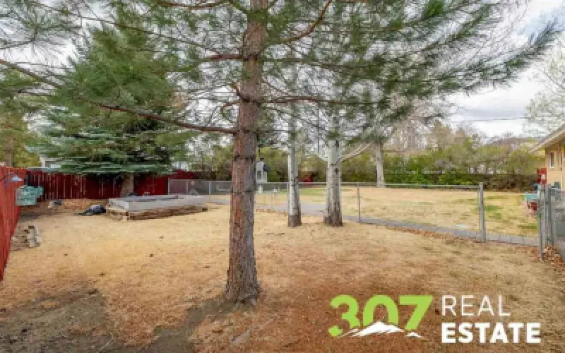 1214 Stampede Ave Cody #21