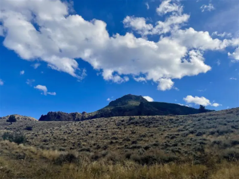 TBD Silver Ridge Tr Wapiti #5